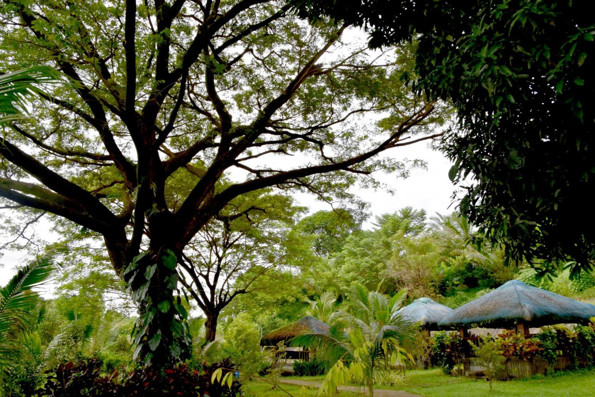 Isla De Oro Hotel Mamburao المظهر الخارجي الصورة